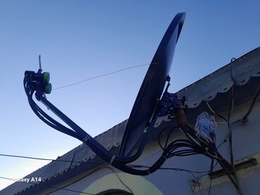 Televizorlar: Peyk antenaları