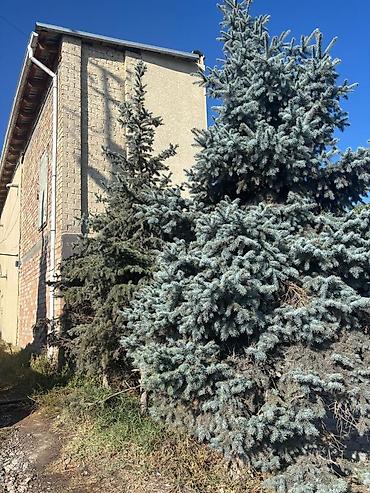парта стул бишкек: Продаются Ель, есть зелёная и голубая. Бесплатно. Самовывоз. Высота от — 1