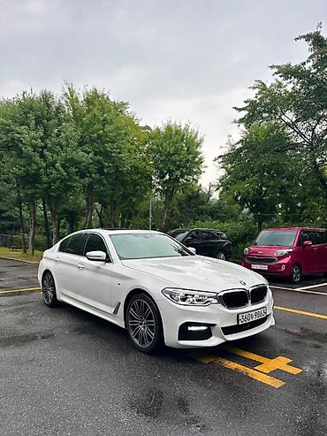 bwv e34: BMW 530: 2020 г., Бензин, Седан — 1
