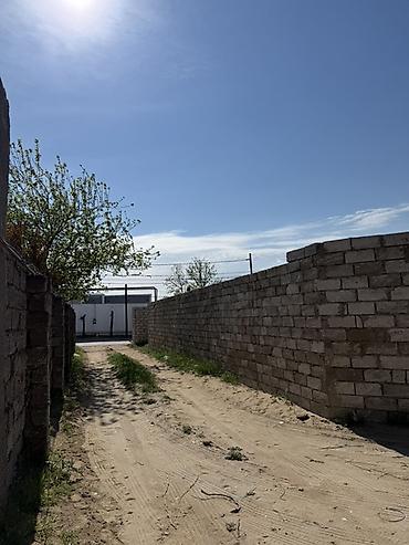 massive: 5 sot, Tikinti, Kupça (Çıxarış) — 3