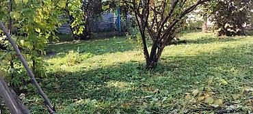 sumqayıt torpaq: 4 sot, Tikinti, Mülkiyyətçi, Kupça (Çıxarış) — 3
