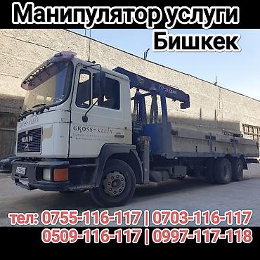 Манипулятор, Iveco