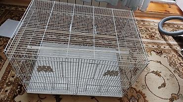 sari qus: Böyük ölçülü quş qəfəsi - Material: möhkəm metal karkas, ağ rəngli — 4