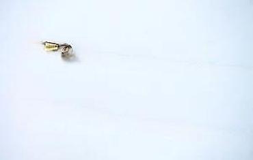 Ogrlice: Brezletna, lanac za džepni sat 6 komada. Cene su odredjene pojedinačno — 6