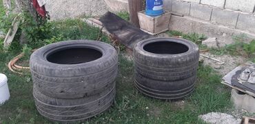Шины: Шины