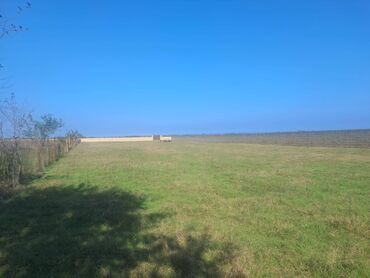 Bağ evlərinin satışı: Xaçmaz, 2 kv. m, 1 otaqlı, Hovuzsuz, Qaz, Su, İşıq — 5