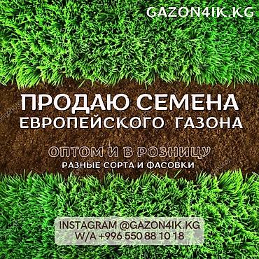 Газон: Семена европейского газона DLF (Дания) по оптовым ценам! ✅В наличии — 16