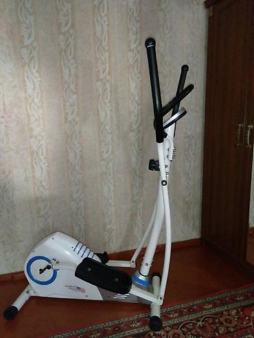 Спорт и хобби: Tr — 1