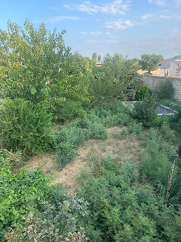 şabran: 7 sot, Tikinti, Mülkiyyətçi, Kupça (Çıxarış) — 10