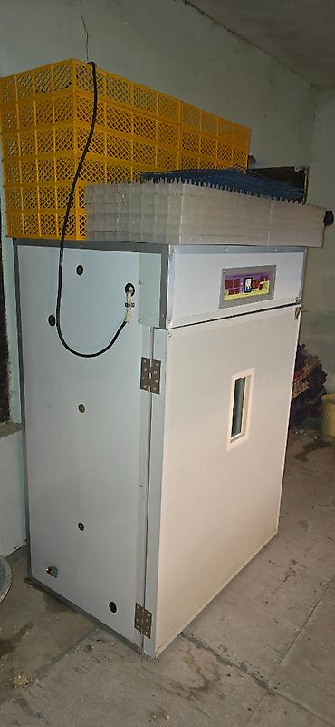 İnkubatorlar: 1100 yumurta, Çin, Fabrik istehsalı, Azərbaycan dilində təlimat, Tam avtomat — 3
