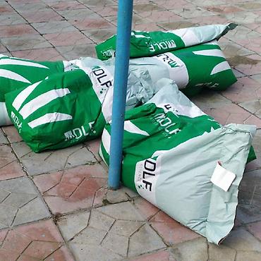 Toxumlar: Super qazon enli yarpaq sıx və alaqsız hörmetli ve deyerli — 4