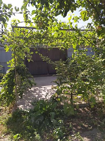Үй жана бакча: Продаю в курортной зоне дачу в горах на Иссык Ате. Дача " Строитель" — 3