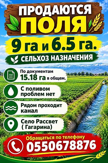 жилой дом с земельным участком: 1518 соток, Для сельского хозяйства, Договор купли-продажи — 1