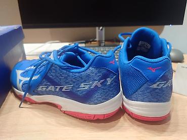 валейболный красовки: Mizuno Gate Sky – кроссовки для заловых игр - Тип — 2