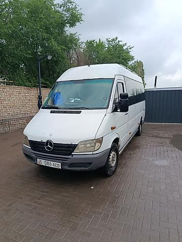 124 e500: Mercedes-Benz Спринтер: 2003 г., Бус — 1