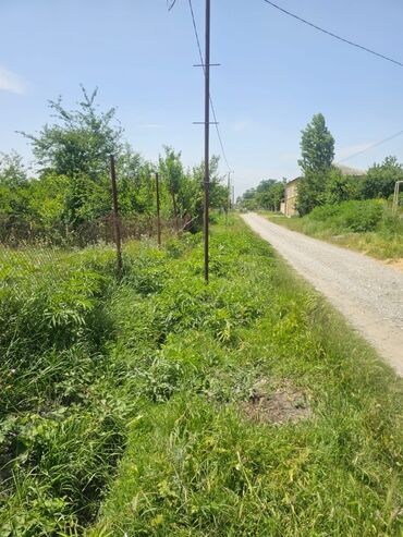 çıxarış: 8 sot, Tikinti, Mülkiyyətçi, Kupça (Çıxarış)