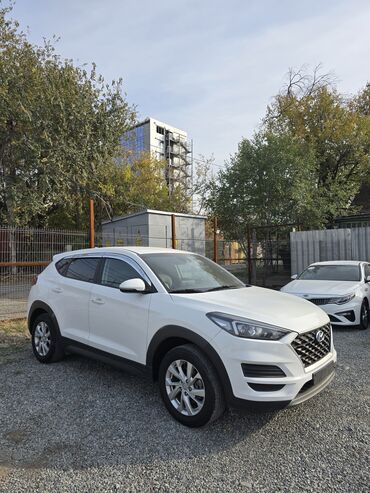 машина спортивная: Hyundai Tucson: 2019 г., 2 л, Автомат, Дизель, Кроссовер