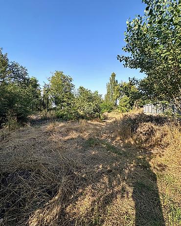 лидер: ✨ Продаётся дом в с. Сокулук по первой линии ✨ 🏡 Характеристики: • — 3