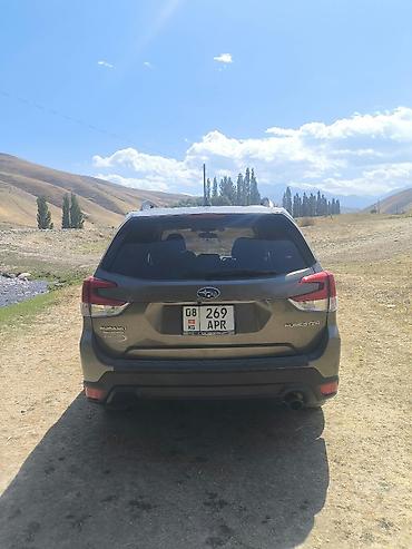 subar: Subaru Forester: 2019 г., 2.5 л, Автомат, Бензин, Кроссовер — 2