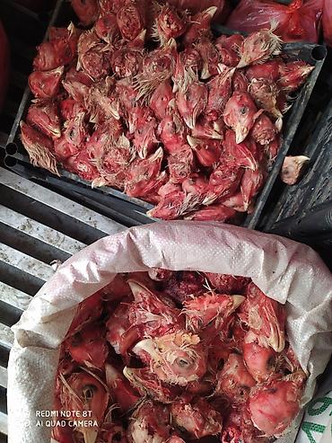 куриные ноги: Замороженные куриные субпродукты - Куриные лапы. Подходят для — 6