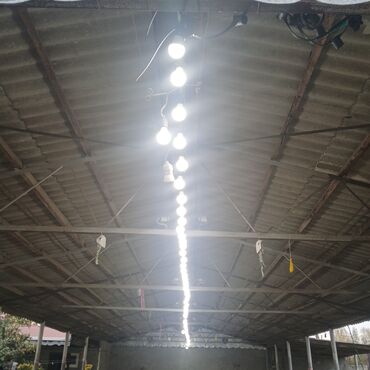 guess tekstil mmc: LED işıqlandırma xətti – uzun məkanlar üçün - Tavana ardıcıl