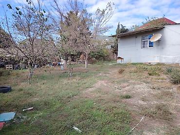 Həyət evləri və villaların satışı: NOVXANL BAĞLARI DƏNİZ KƏNARI 12 DAŞ KÜRSÜLÜ QİYMƏTDƏ ENDİRİM OLUNACAQ — 17