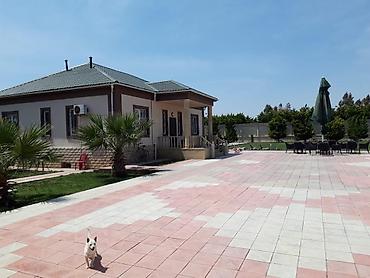 Günlük kirayə evlər: ​🏡GÜNDƏLİK KİRAYƏ BAĞ EVİ!🌟İstirahətini rahat və lüks şəraitdə — 9