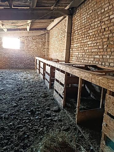 степной: Farm КРС, 1 соток, Действующий, Без оборудования, Электричество — 9