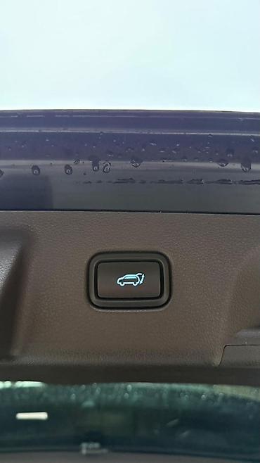 Hyundai: Hyundai Palisade: 2022 г., 2.2 л, Автомат, Дизель, Кроссовер — 16