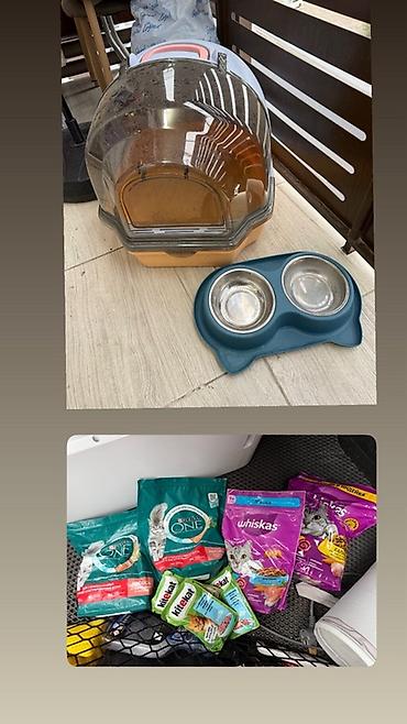 корм для котят: Набор для кошки/кота: - Закрытый туалет-домик с крышкой и прозрачной — 1