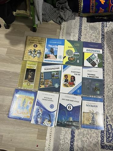 Русский язык и литература: Комплект школьных учебников для 6 класса С ОБЛОЖКАМИ ГОТОВЫЕ Состав — 2
