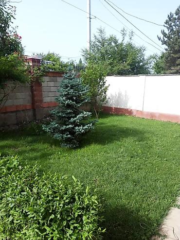 Продажа домов: Дом, 160 м², 6 комнат, Собственник, Косметический ремонт — 4