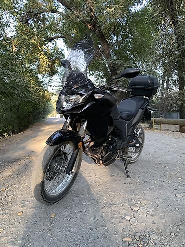 kawasaki ninja 300: Adventure Kawasaki, 300 куб. см, Бензин, Взрослый, Б/у — 1