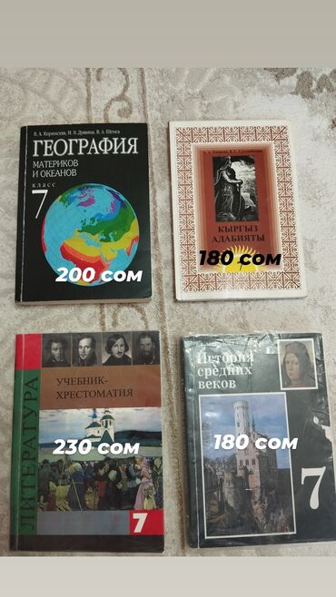 с.к.кыдыралиев а.б.урдалетова г.м.дайырбекова решебник: Русская литература, 7 класс, Б/у, Самовывоз