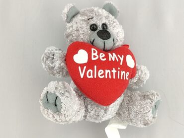 Mascot Teddy bear, condition - Perfect