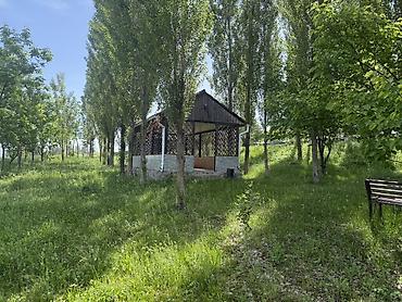 Аренда юрт: Этно-гостевой дом с конными прогулками и проживанием - Размещение — 19