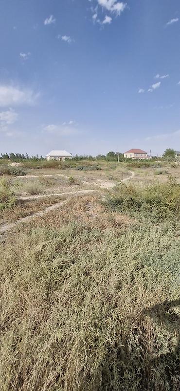 Torpaq sahələrinin satışı: Tikinti -da lalafo.az — 7 Torpaq sahələrinin satışı: Tikinti — 7