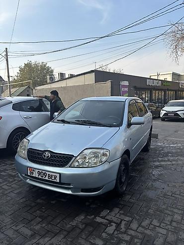 lexus es 2014: Toyota Corolla: 2004 г., 1.6 л, Механика, Бензин, Седан — 2