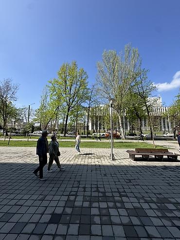 Другая бытовая химия и моющие средства: Продаётся готовый бизнес в самом центре города! Магазин бытовой химии — 10