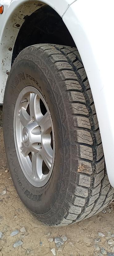 nissan pikab: Great Wall Wingle: 2 l | 2013 il 222000 km Pikap — 5