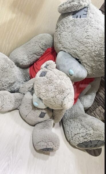 Teddy