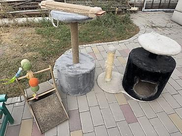 большая таба лапка: Когтеточки и комплексы для кошек, набор Состав: - Игровой комплекс с — 2