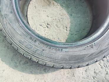 20555: Шины 205 / 55 / R 16, Зима, Б/у, 1 шт, Легковые, Япония, Dunlop — 2