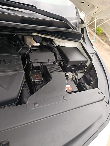 котализаторы: Kia Carnival: 2020 г., 2.2 л, Автомат, Дизель, Минивэн — 9
