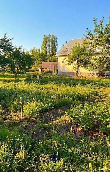 Жер тилкелери: 5 соток, Курулуш, Кызыл китеп, Техпаспорт — 7