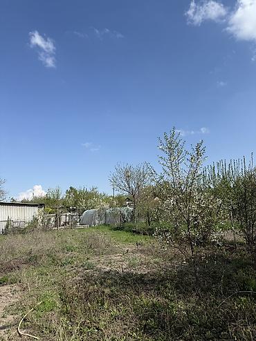Продажа коттеджей и домов: Продается дом с участком 8,5 соток маевка Участок правильной формы — 7