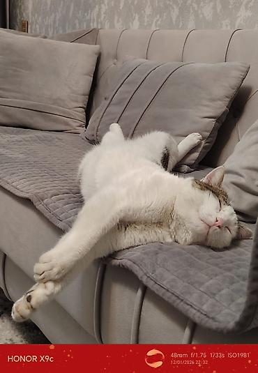 Dönər aparatları: Məhsul: Toğrulanmış dönər şişi (şaşlıq tipli şaquli şişdə bişirmə — 8