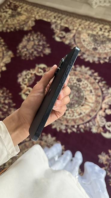 xiami 15: IPhone 15 Pro Max, Б/у, 256 ГБ, Графит, Чехол — 4