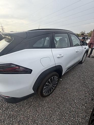 Geely: Geely Galaxy Starship 7: 2026 г. — 4