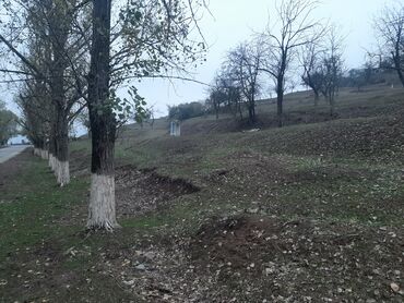 Torpaq sahələrinin satışı: 24 sot, Mülkiyyətçi, Kupça (Çıxarış) -da lalafo.az — 5 Torpaq sahələrinin satışı: 24 sot, Mülkiyyətçi, Kupça (Çıxarış) — 5